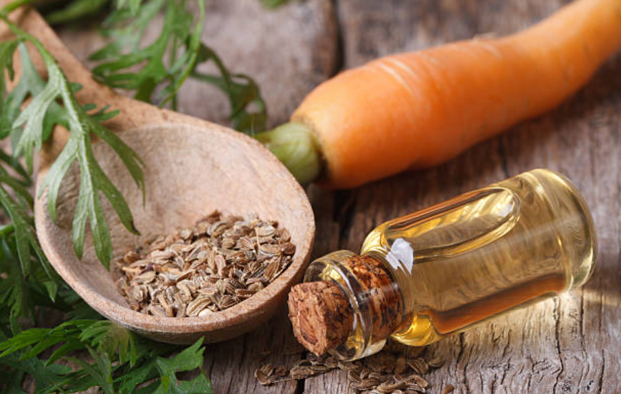 Carrot Seed Oil, The Benefits and Why It's Cynthia's Favorite!